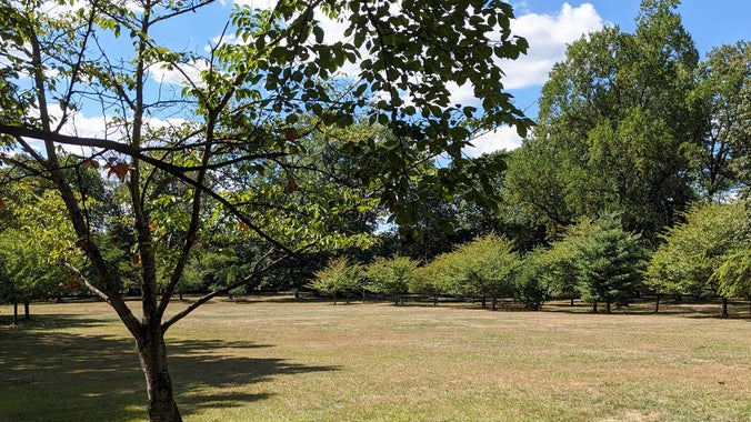 Fall Field Day - Outdoor sports in the park