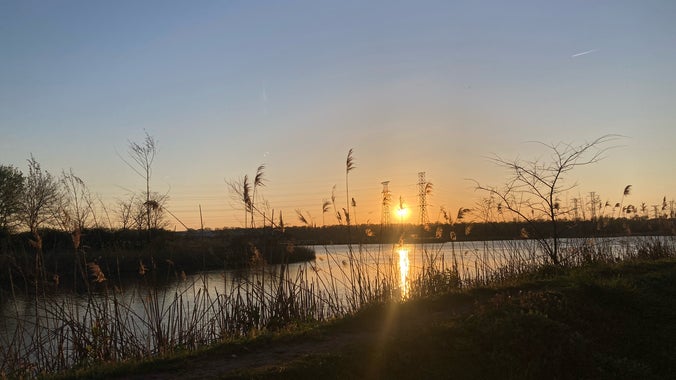 🌅 Sunday’s Sunset Walk 🌅