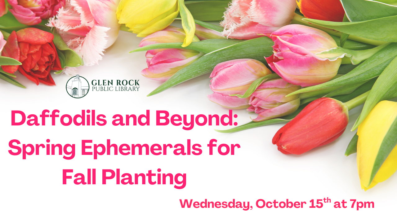 Daffodils and Beyond: Spring Ephemerals for Fall Planting