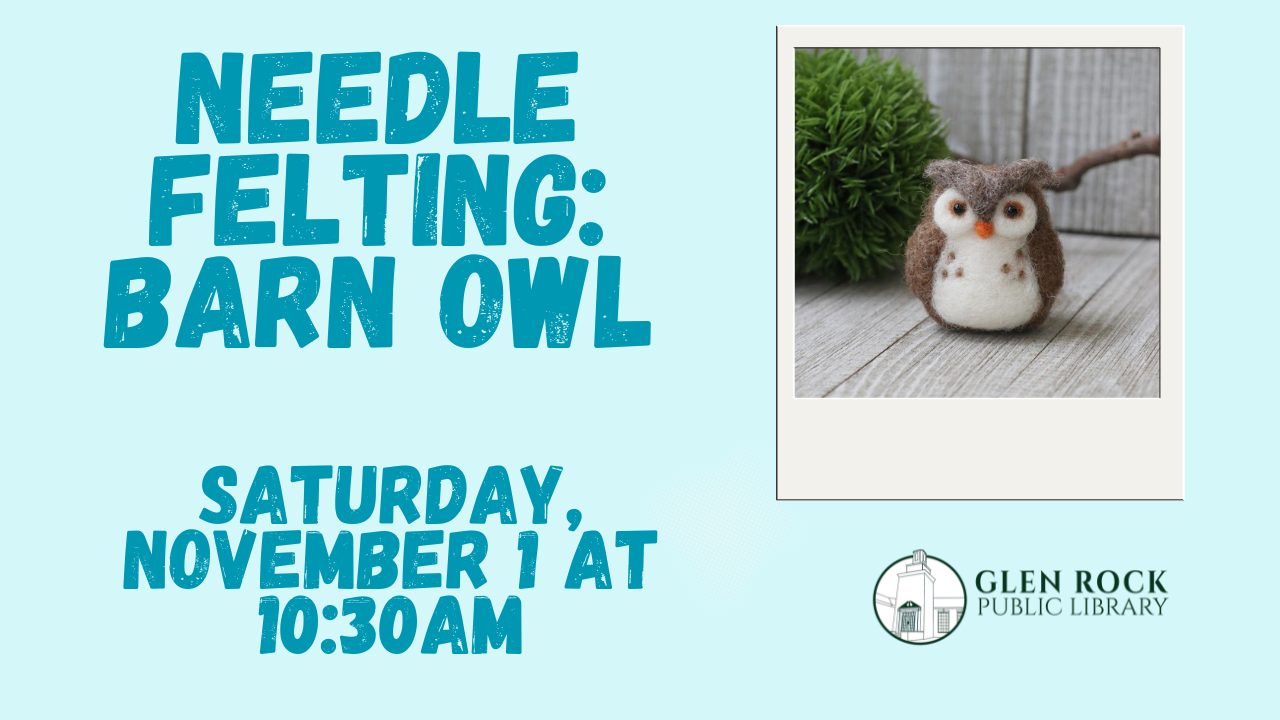Needle Felting: Owl (Adult Event)