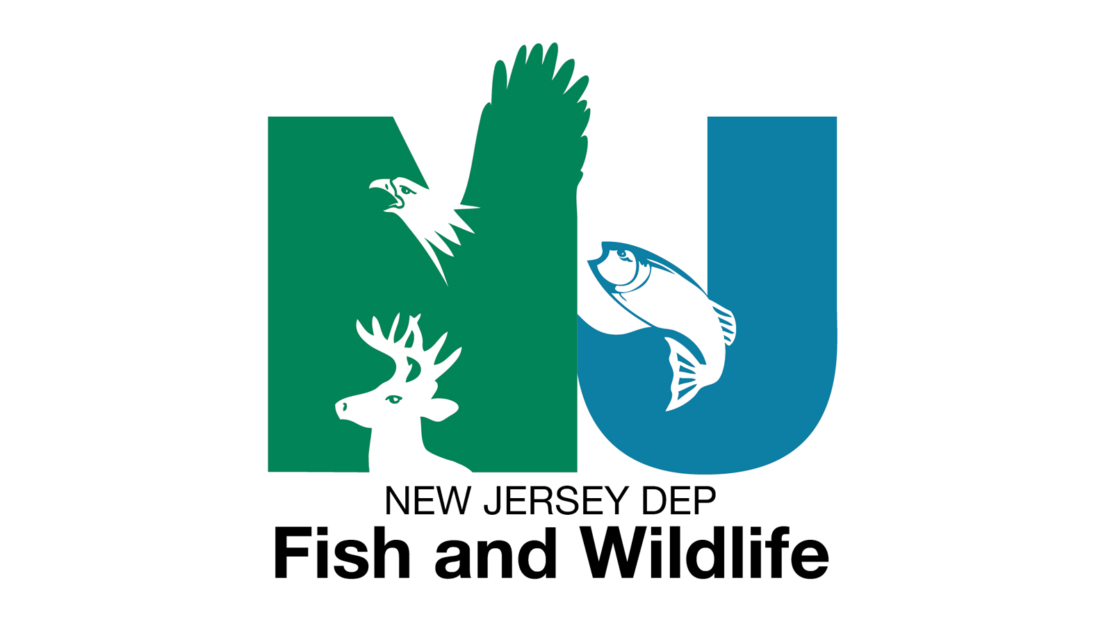 Know the Bear Facts: NJDEP Bear Program
