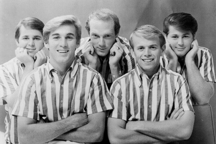Brian Wilson and The Beach Boys: A California Story NEW