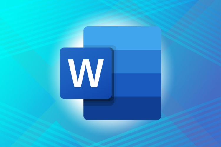 Microsoft Word 2024: Level 1 NEW