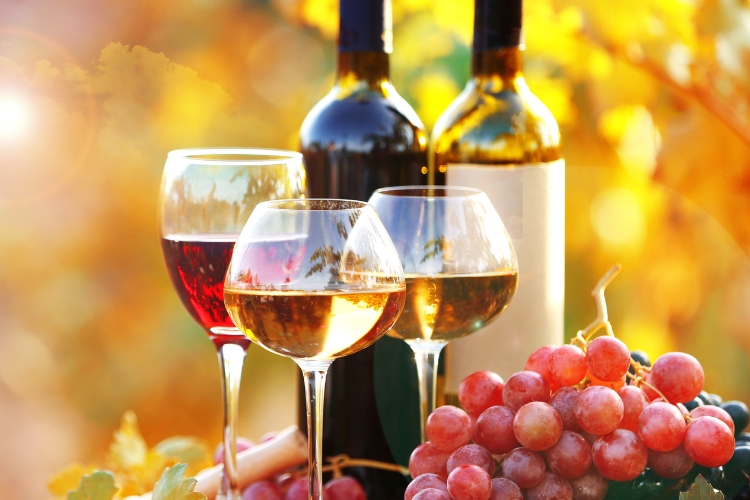 Wine Confidence: Understanding The Basics NEW