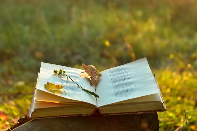 Poems as Prompts: Poetry Writing Workshop