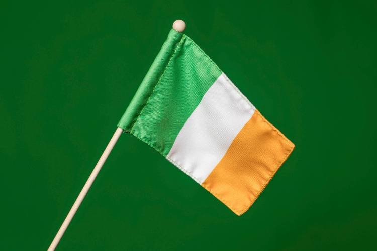 Beginner Irish NEW
