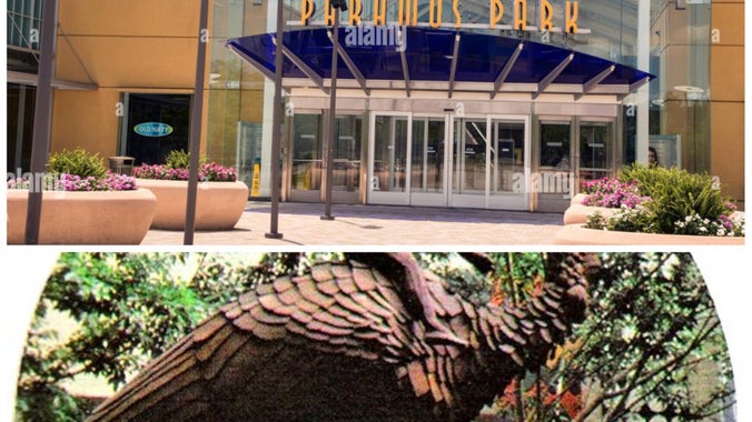 Special Activity - Mall Walk / Eat & Chat