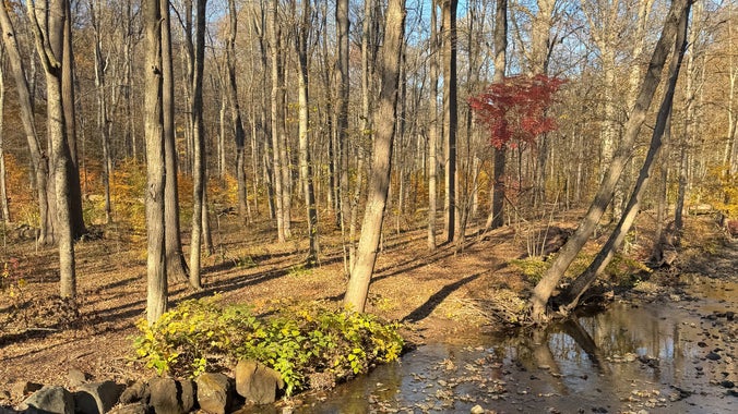 Tulip Springs Ramble w/ Donna ~5 miles