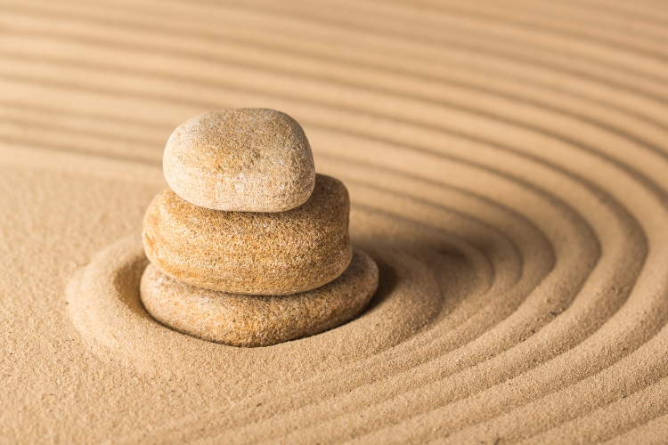 Finding Calm in the Chaos: A Thoughtful Approach to Tough Times NEW