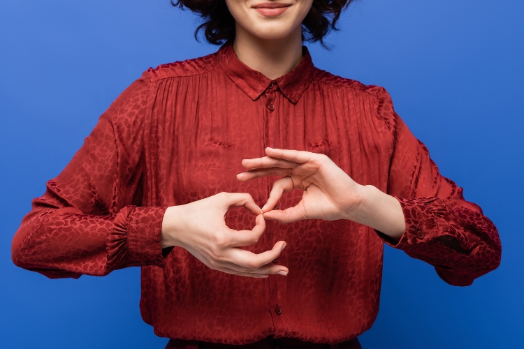 American Sign Language: Level 1