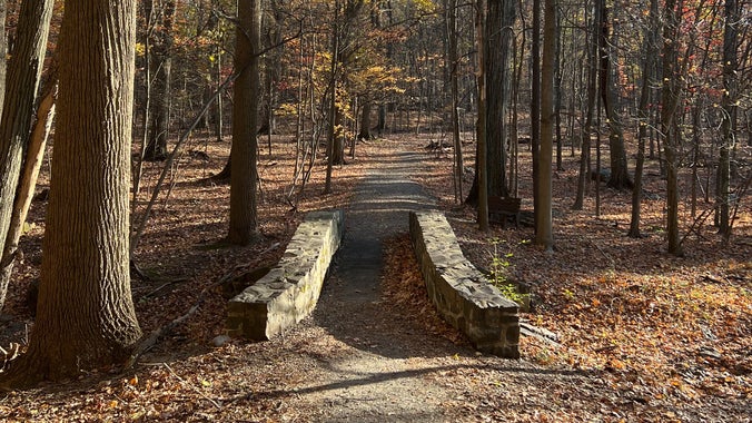 Christmas Day Hike w/ Janine Beer ~4-5 miles