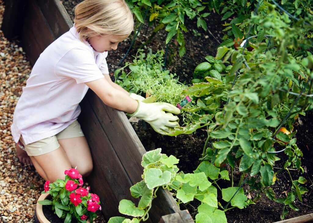 Gardening Workshop Series with Gardens of Sol