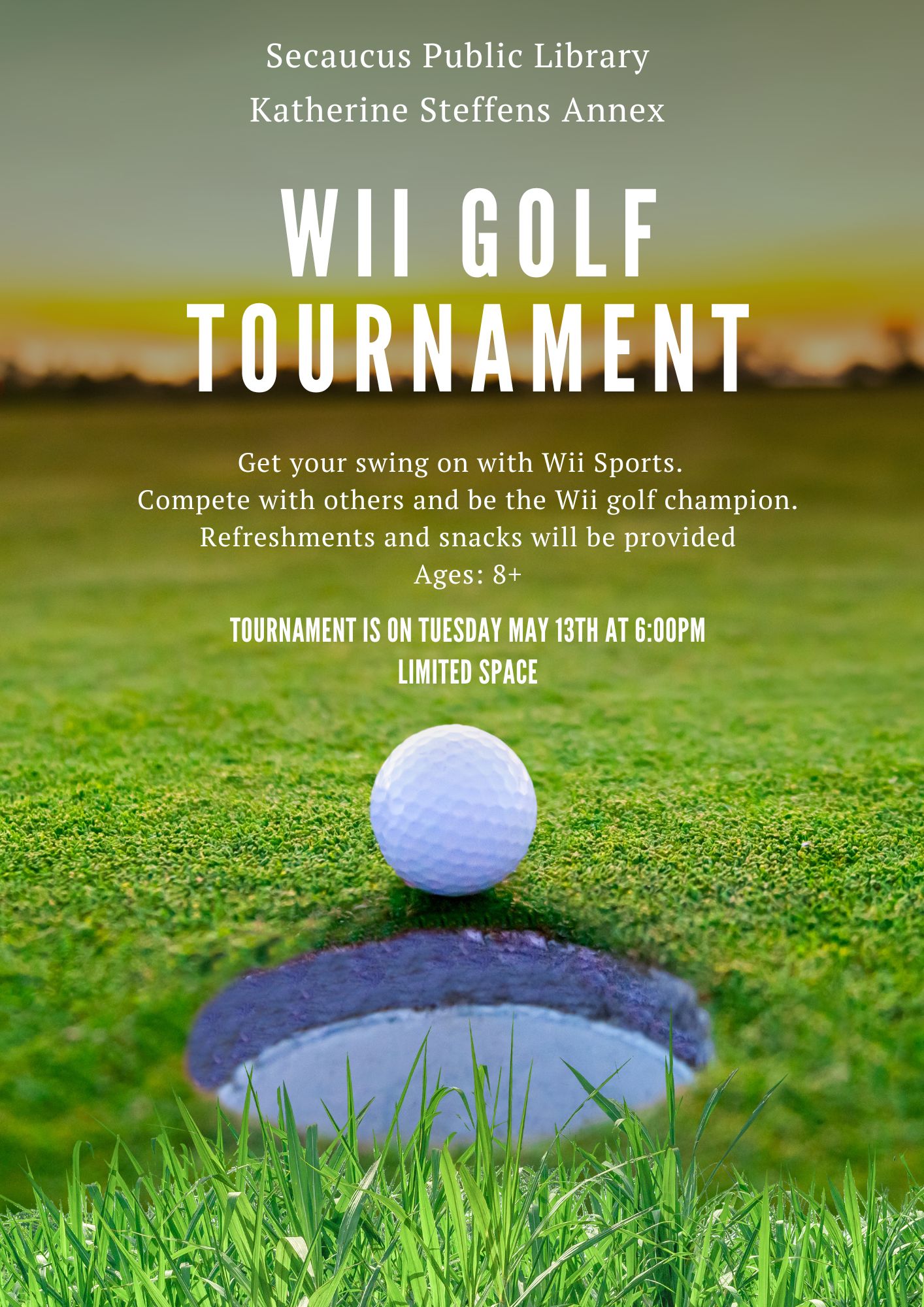 Wii Golf Tournament