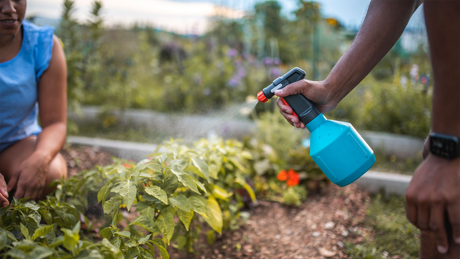 Rooted-In: DIY Natural Garden Sprays
