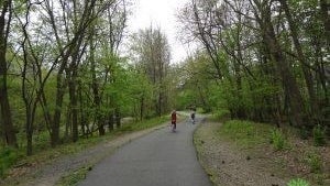 4 Mile Run in Ridgewood (Wild Duck Pond)