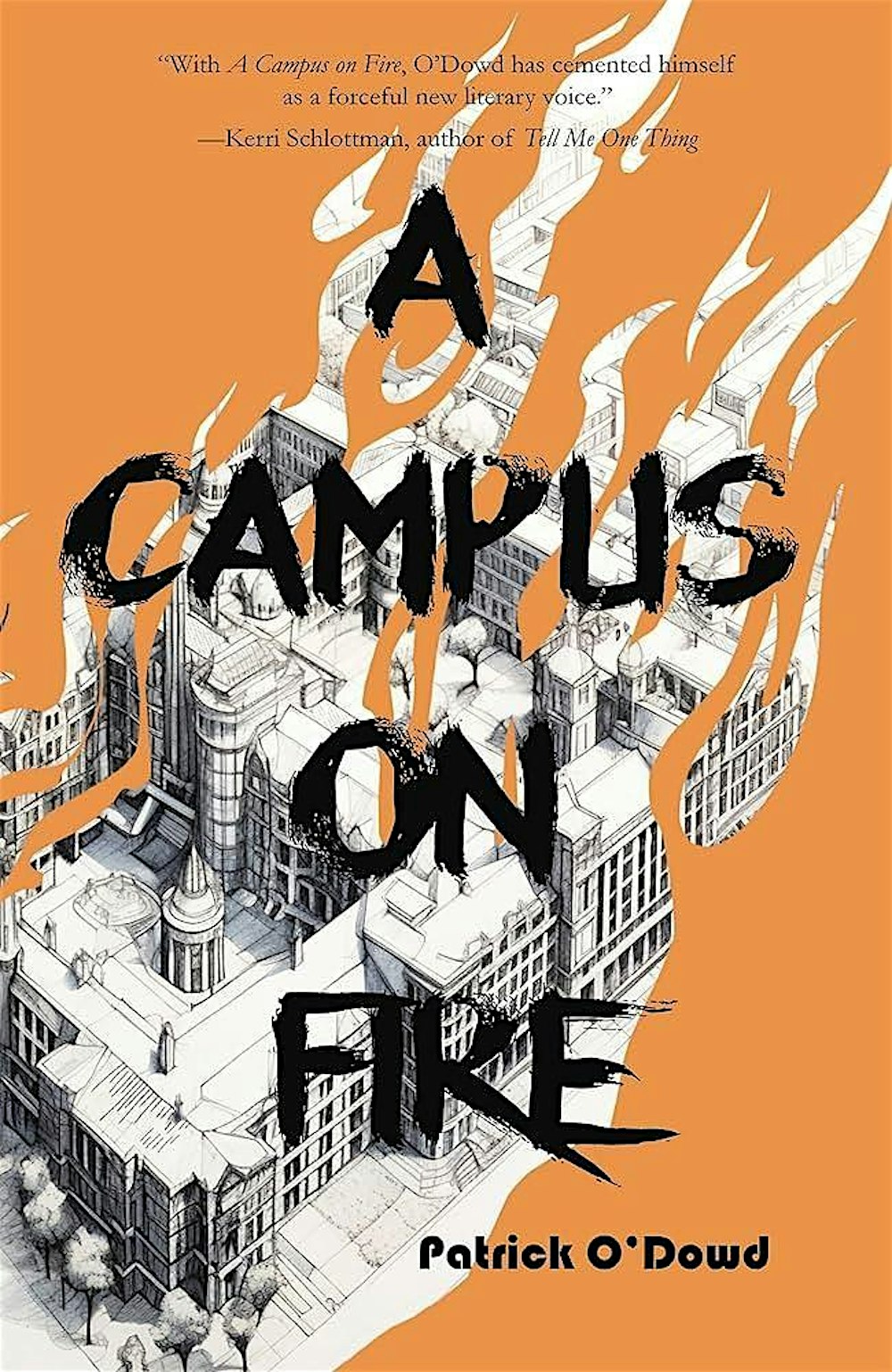 Patrick O'Dowd's 'A Campus on Fire'