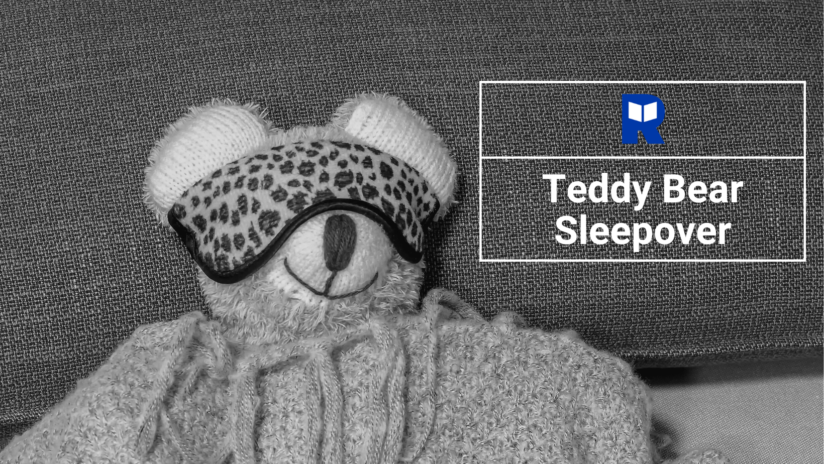 Teddy Bear Sleepover Drop Off