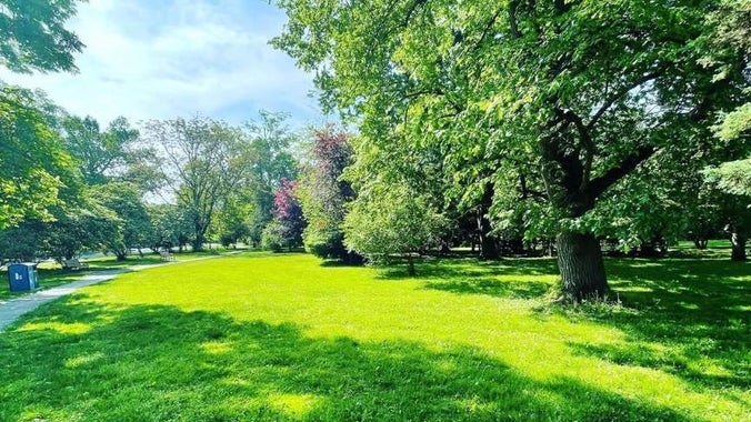 Picnic for Pride at Porter Park | Montclair