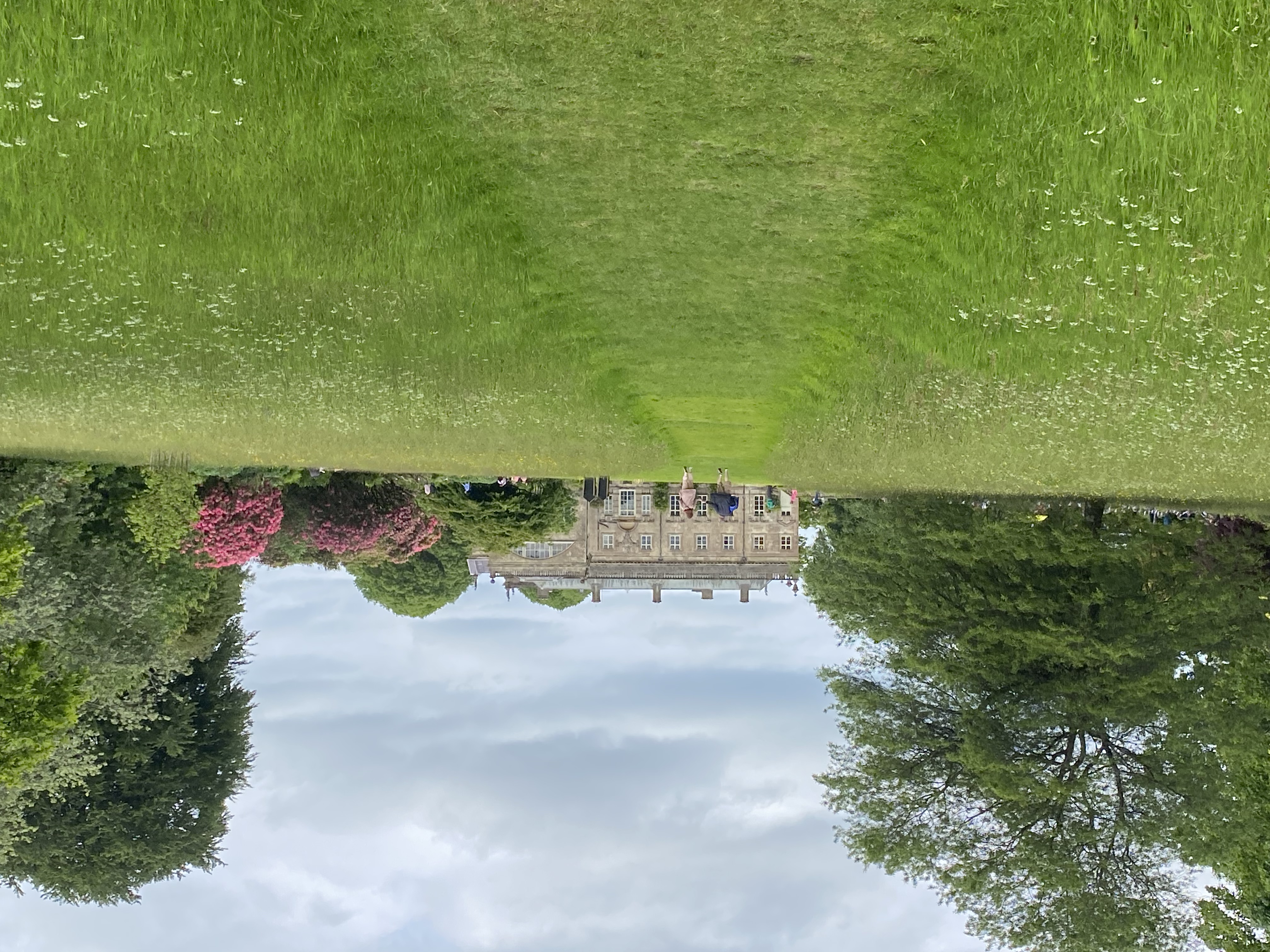 The No-Mow Lawn and 