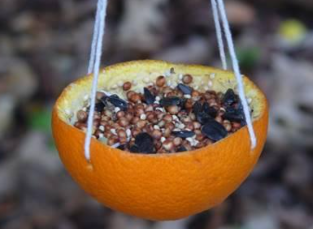 Orange Bird Feeder Drop In