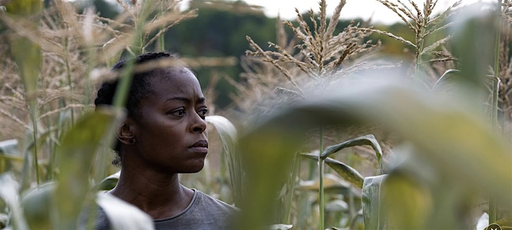Newark Black Film Festival: 40 Acres (R)
