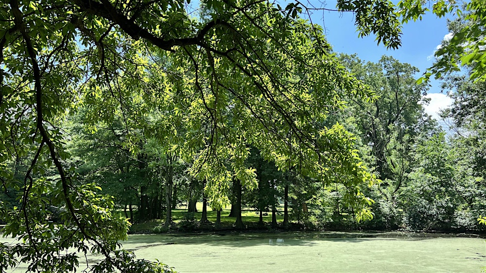 Hiking with Branch Brook Park Alliance