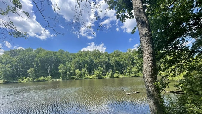Summer Kickoff Hike at South Mountain Reservation