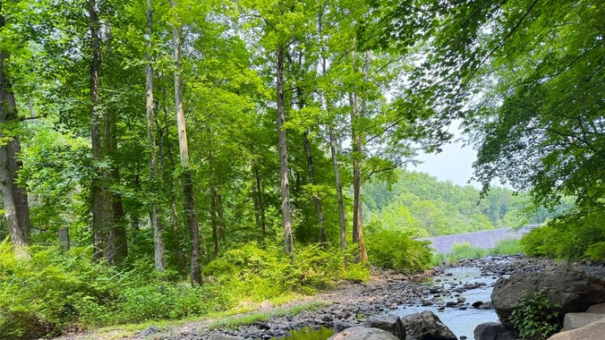 South Mountain Reservation Hike