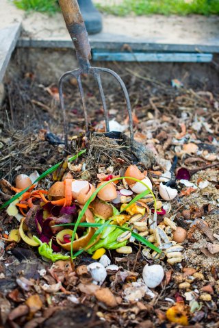 Rooted-In: Composting 101