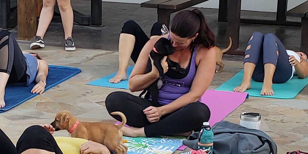 DNYP - Pilates and Paws at Ken Pilates