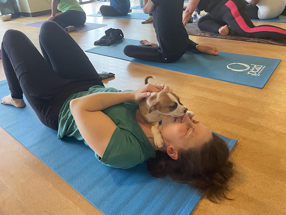 DNYP- Puppy Poses at Revive HIIT Factory