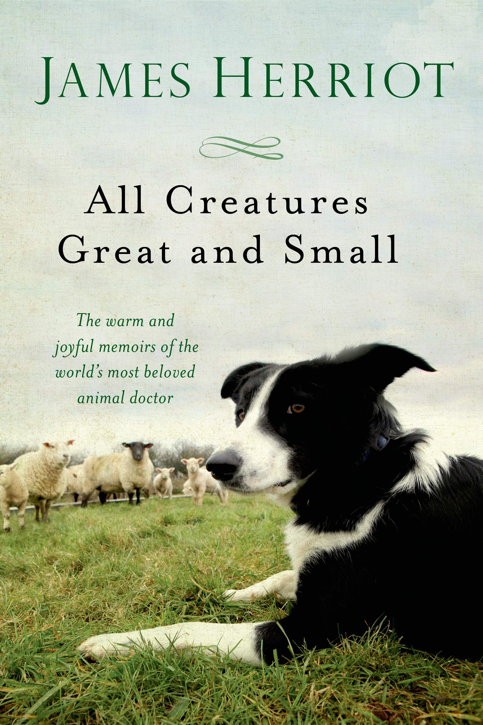 Thursday Night Book Club - All Creatures Great and Small