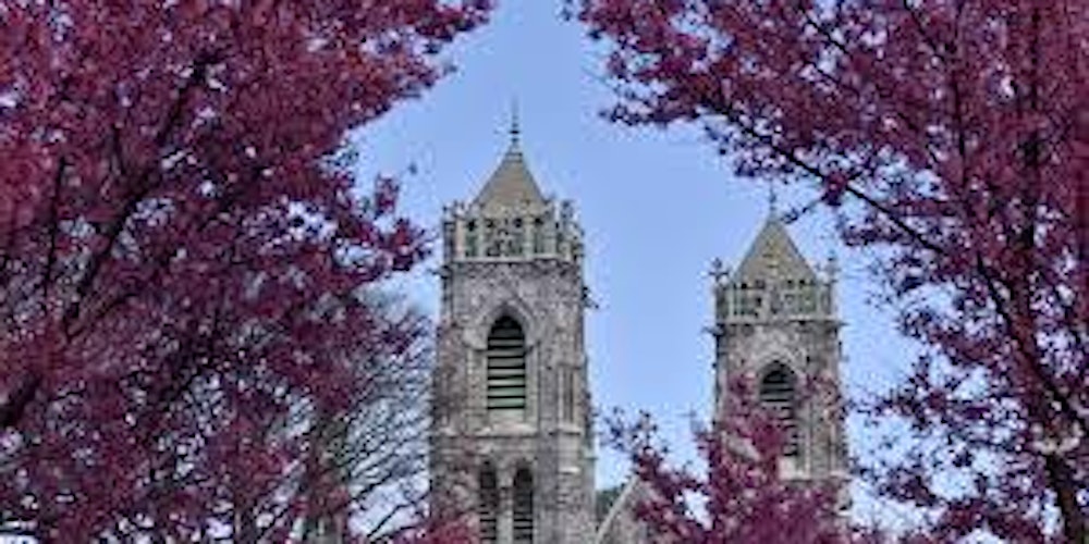 Cherry Blossom Walking Tour in Branch Brook Park