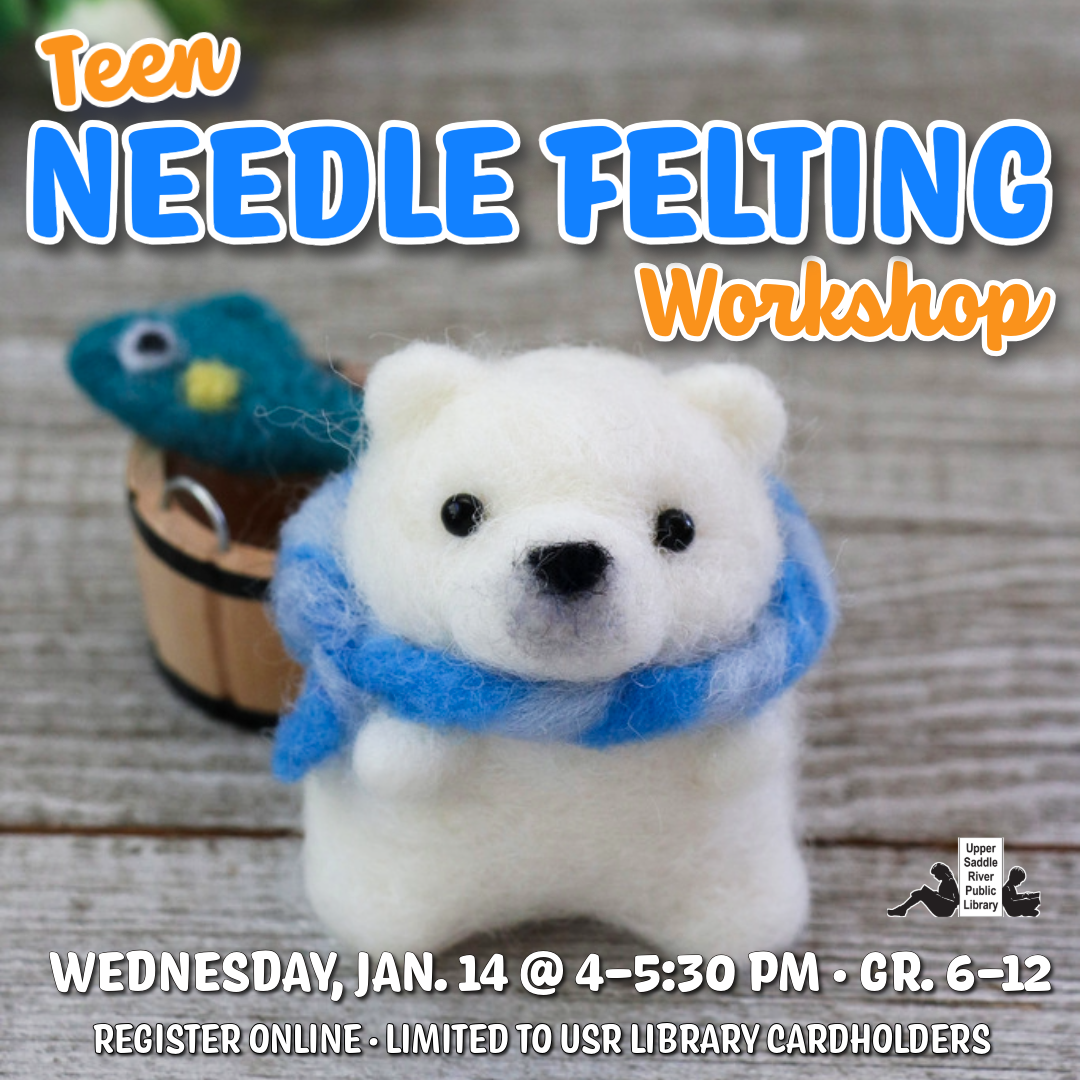 Teen/YA Needle Felting Program