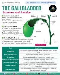 Valley Health Series