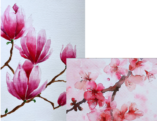 Watercolor Workshop for Adults: Cherry Blossoms and Magnolias @ Main Library