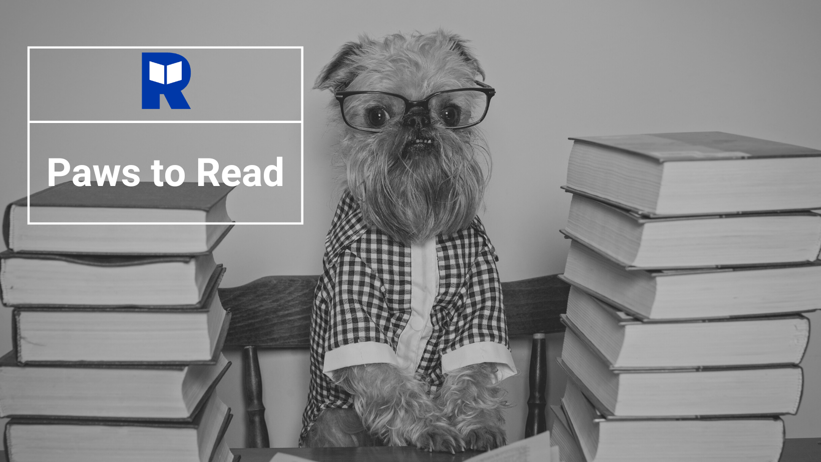 PAWS to Read: Minnie the Basset Hound