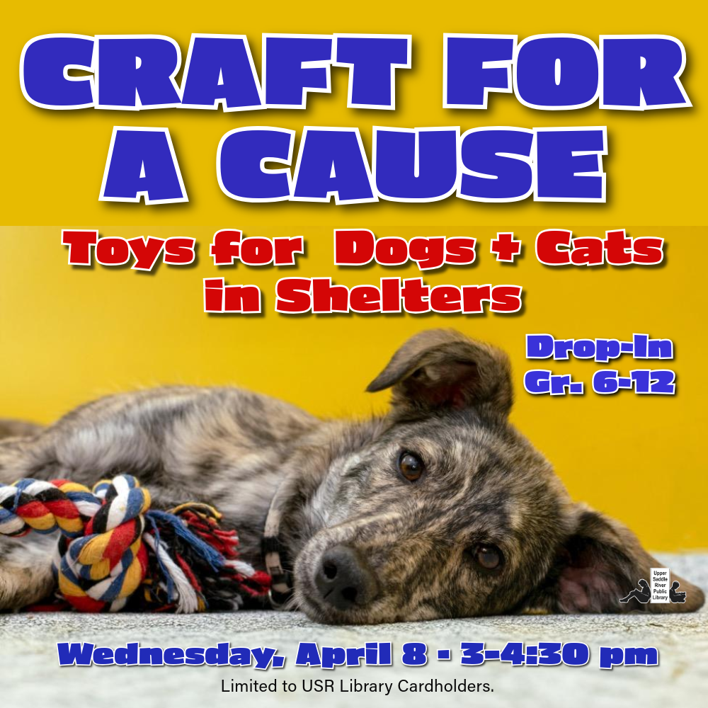 Craft for a Cause- Dog and Cat  Toys for Animal Shelter