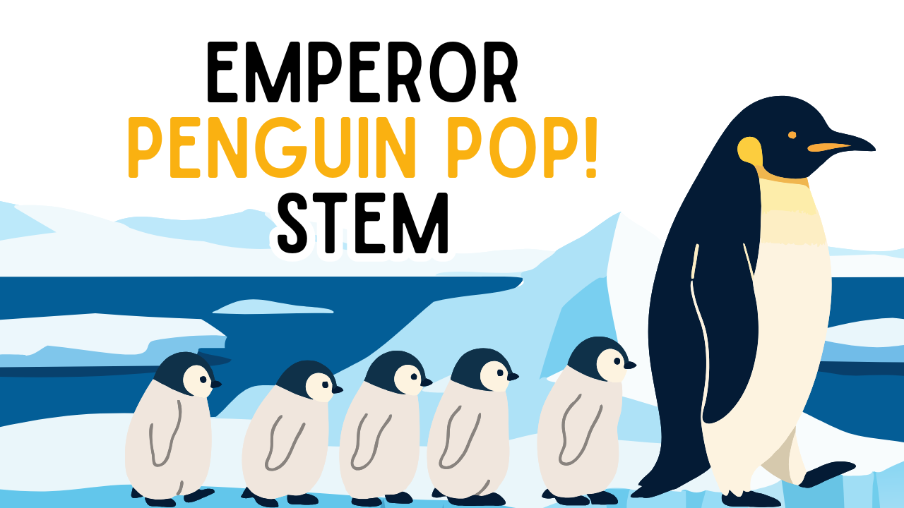 Emperor Penguin Pop! STEM