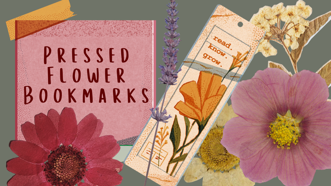 Pressed Flower Bookmarks - Session 2