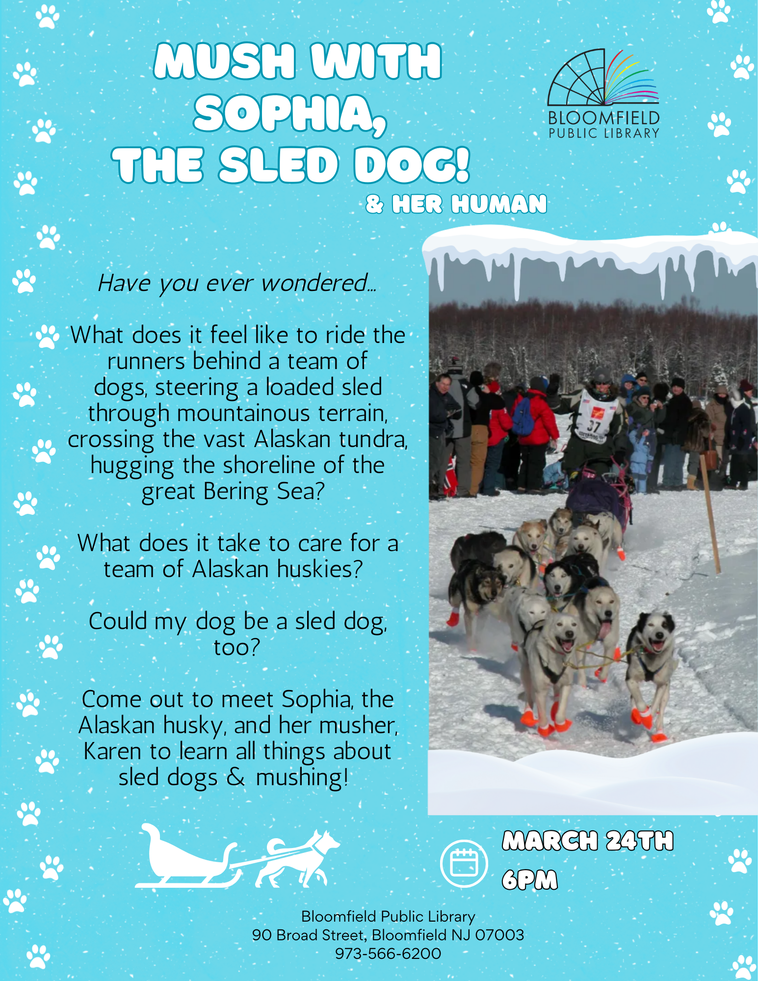 MUSH with Sophia, The Sled Dog (& her human)!