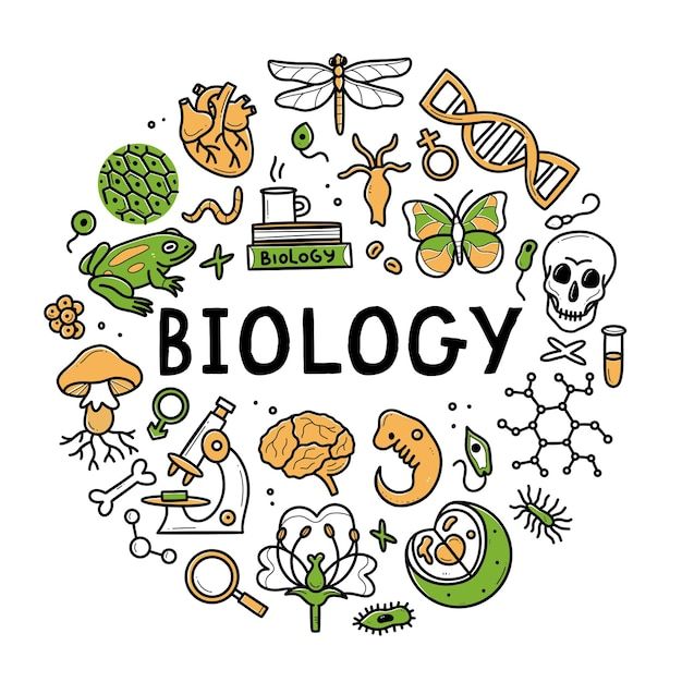 Kid-Friendly Biology Discovery