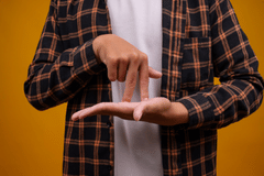 American Sign Language: Level 1