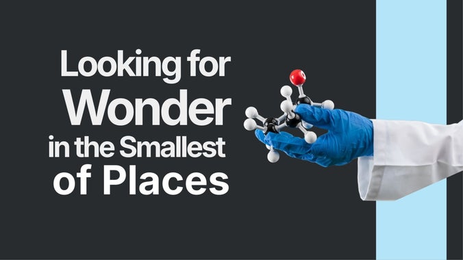 Sunday Gathering: Looking for Wonder in the Smallest of Places
