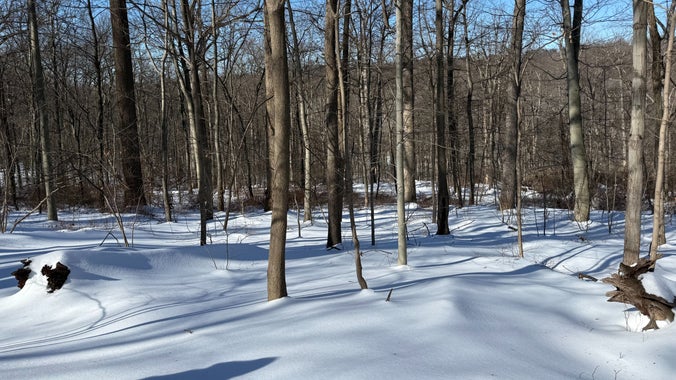 Dogwood Area Hike w/ Donna ~5 miles