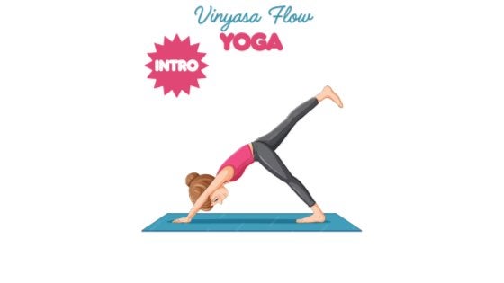 Intro to Vinyasa Flow Yoga