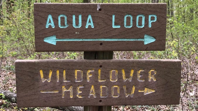 Forest Regeneration Volunteer Workday