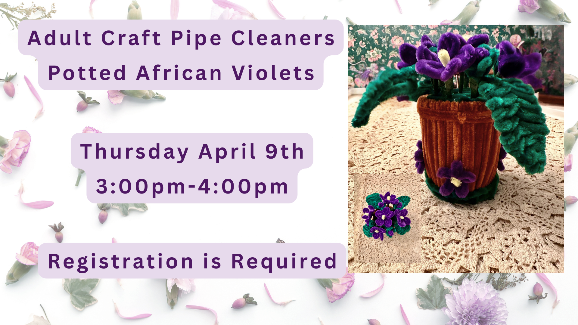 Adult Craft Pipe Cleaner Potted African Violets