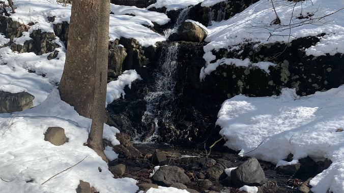 South Mountain Reservation