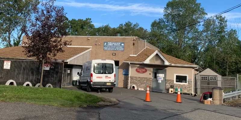 Part-Time Animal Shelter Assistant Opportunity Available